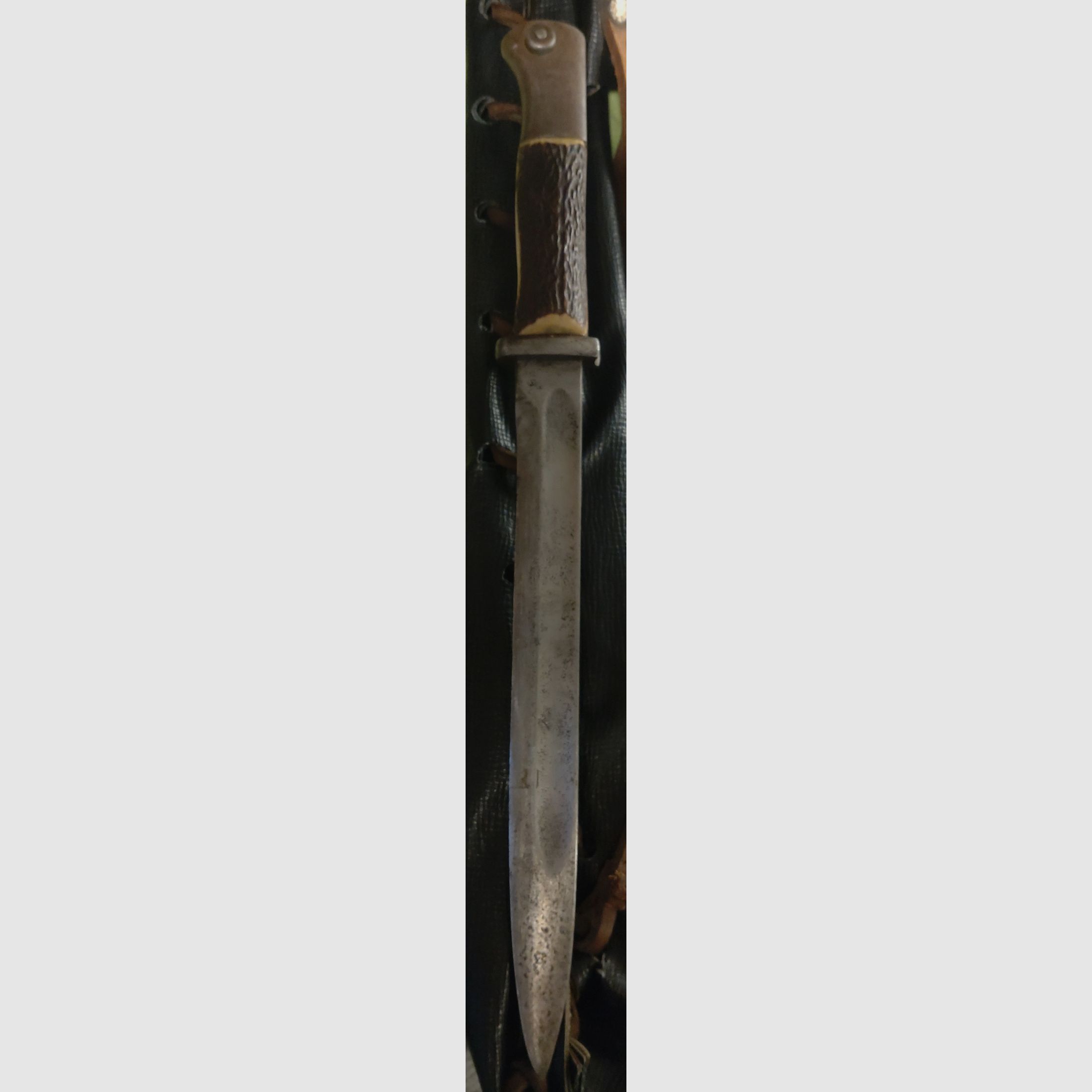 Bayonet M 84/98 "W18" Manufacturer: J.A. Henckels Zwillingswerke, Grip scales horn, Price negotiable