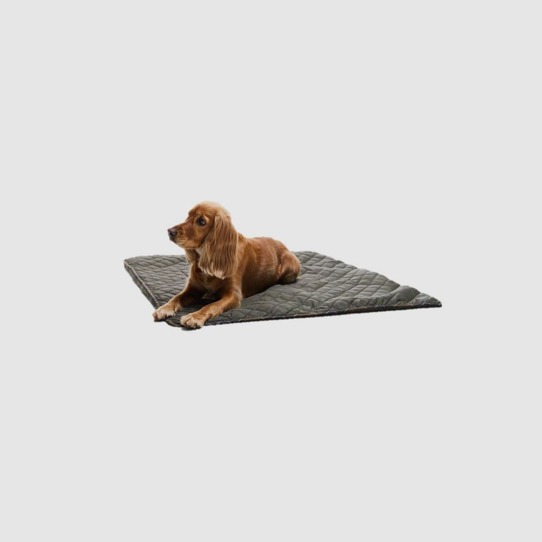 Barbour Manta para Perros Fleece&Quilt | oliva, imagen 10 de 10