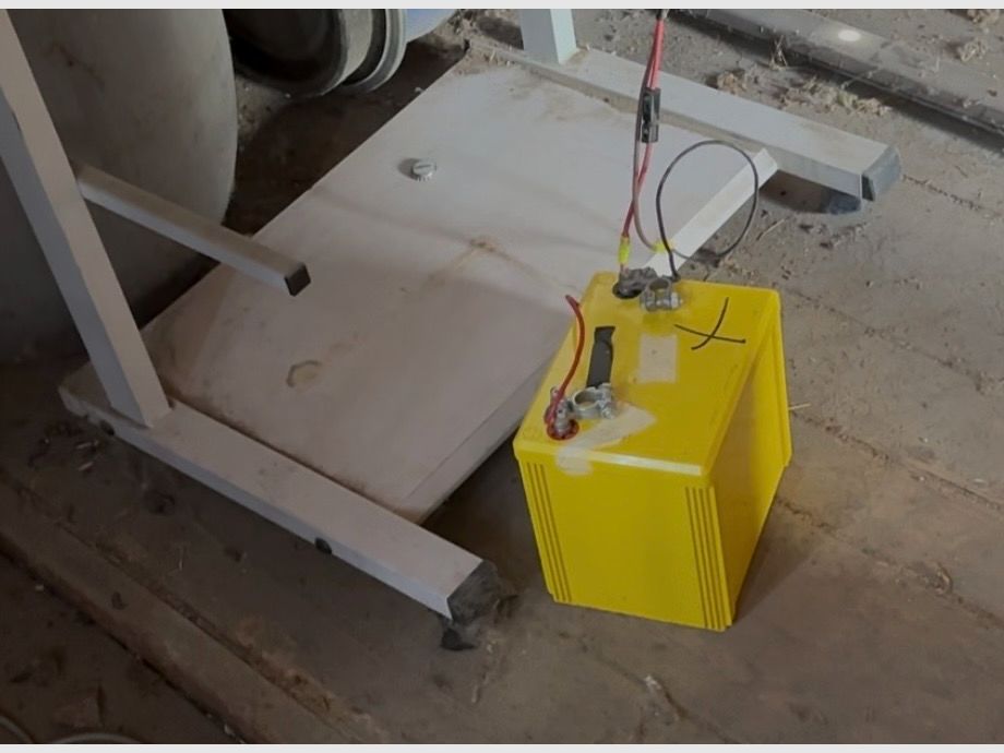 Laufender Keiler für Luftgewehr 