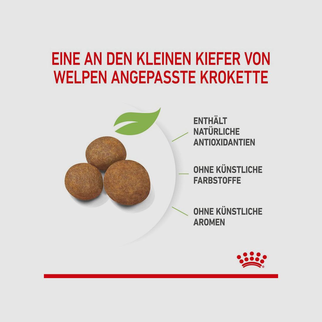 ROYAL CANIN Große Hunde Trockenfutter Maxi Welpen 15 Kg