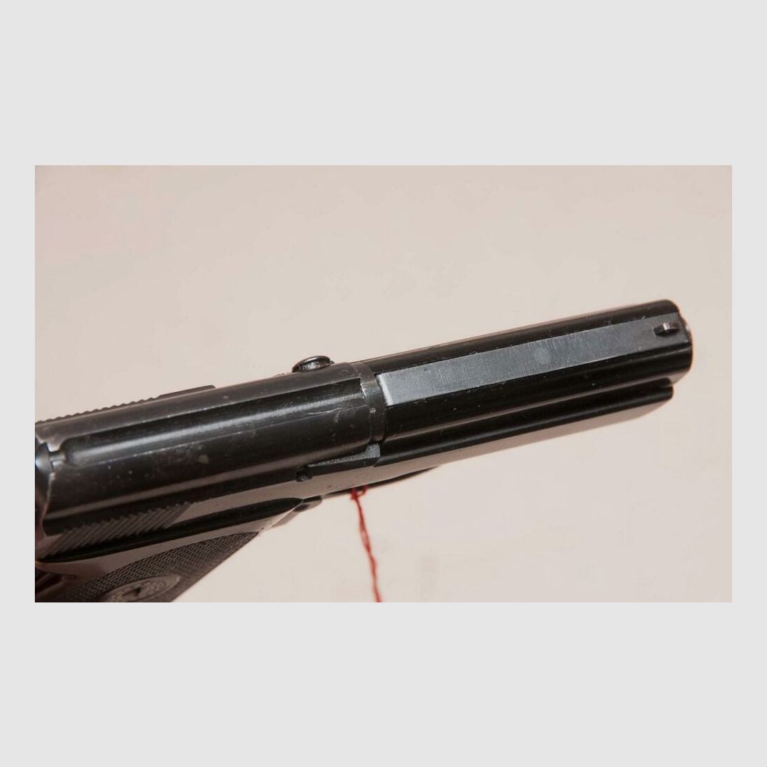 Walther TP caccia al cinghiale caccia alla costruzione caccia con trappole, immagine 4 di 4