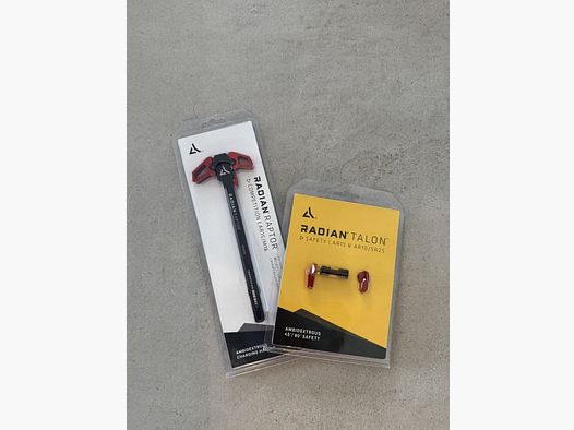 Radian Raptor charging handle and Talon safety
