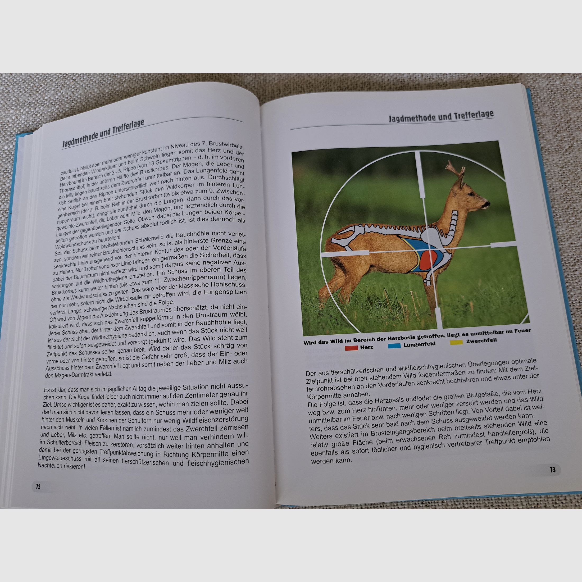 Wildbret-Hygiene (von Winkelmayer/ Paulsen/ Lebersorger/ Zedka)