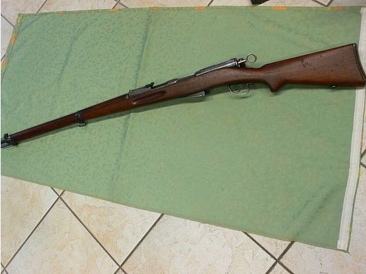 Swiss Arms Gewehr 89/96