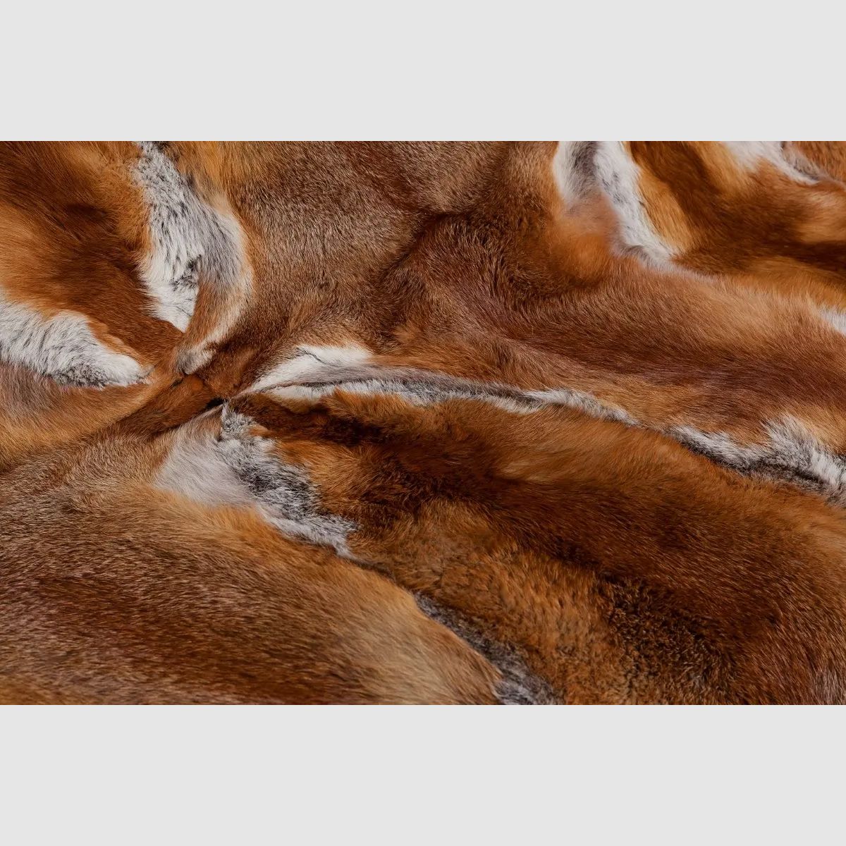Hofstetter Red Fox Cavalli Blanket