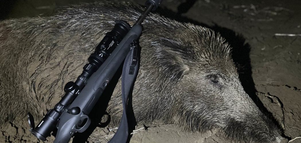 Selection of the First Hunting Rifle - What to Consider?