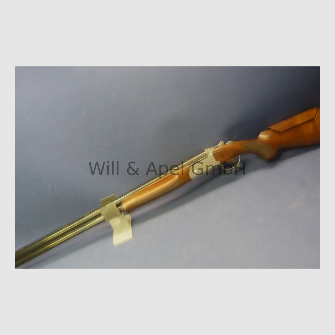 F.A.I.R Carerra HSX Sportieve Links