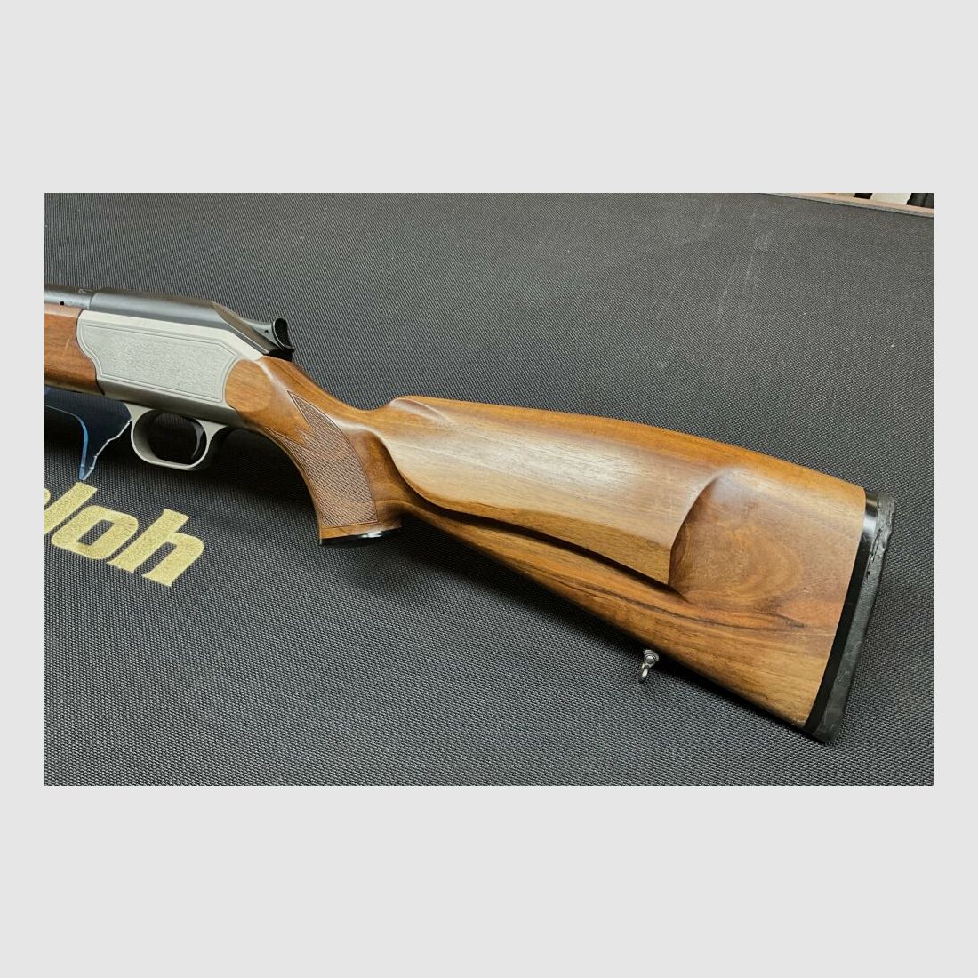 Blaser R93 .30-06Spring