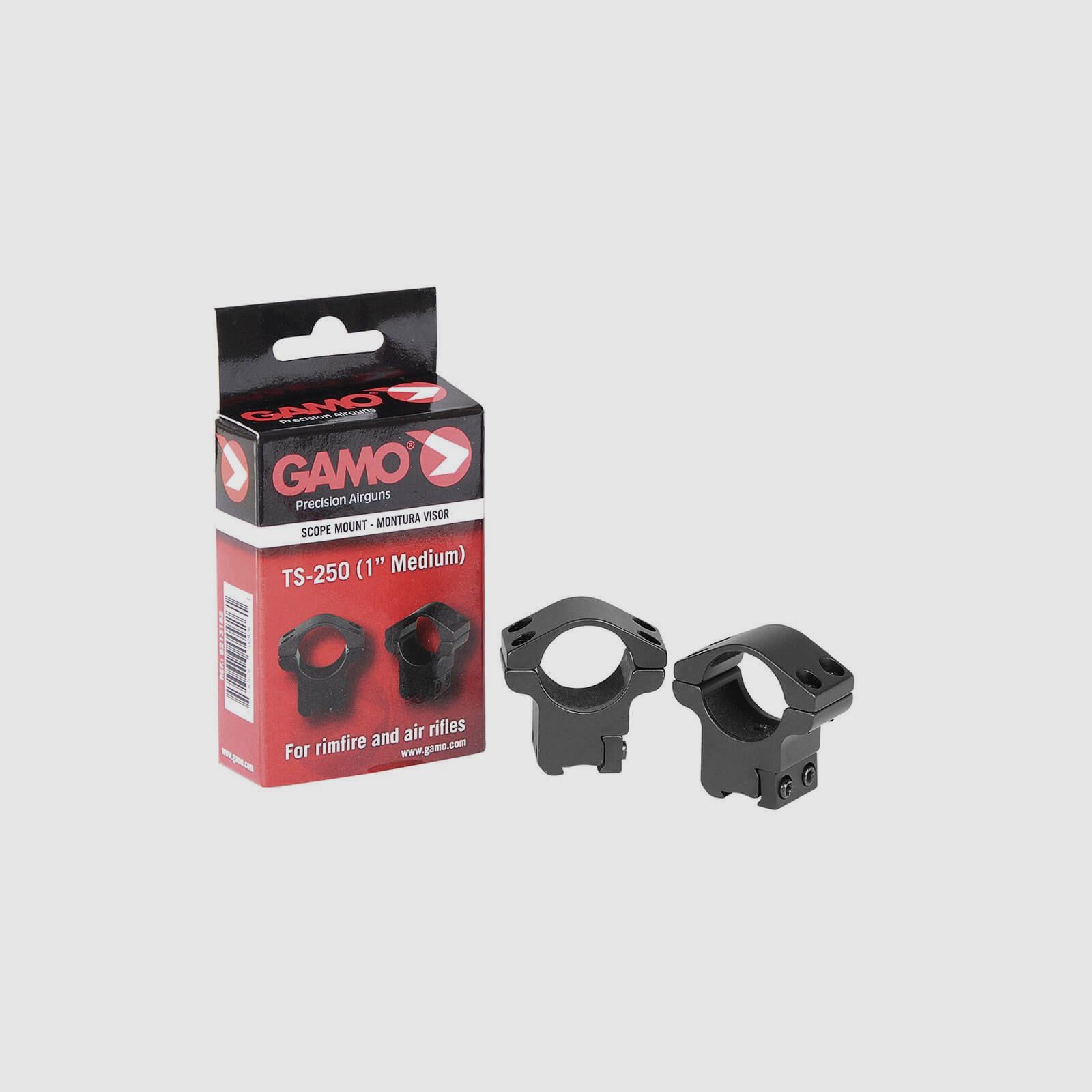 Montage TS-250 1″ Medium