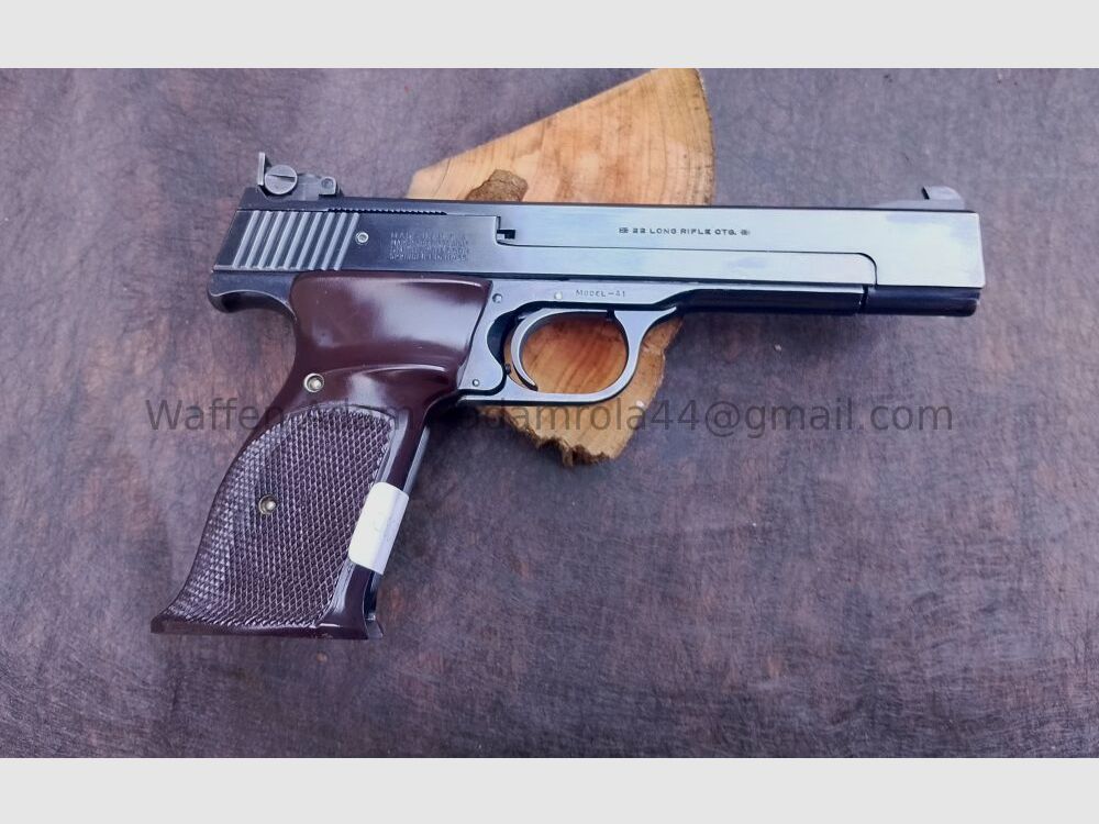 Smith & Wesson Model 41 Sport 1965