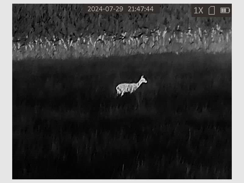 Thermal imaging camera HIKMICRO OWL OH35