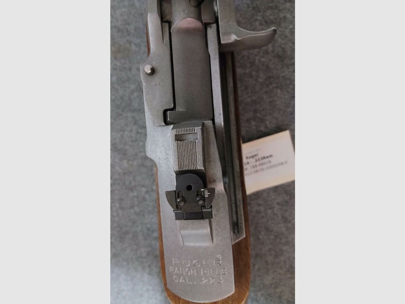 Ruger Mini 14