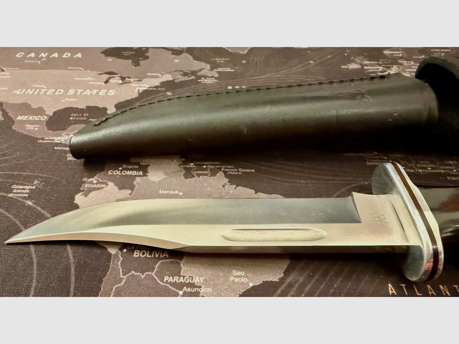 Buck 119 Bowie Messer Outdoor