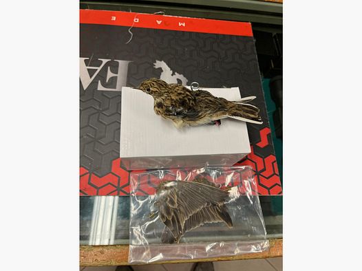 Stuffed Skylark with Rotating Wings