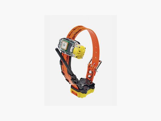 MITO 5100 BEEPER GPS-Halsband für Jagdhunde