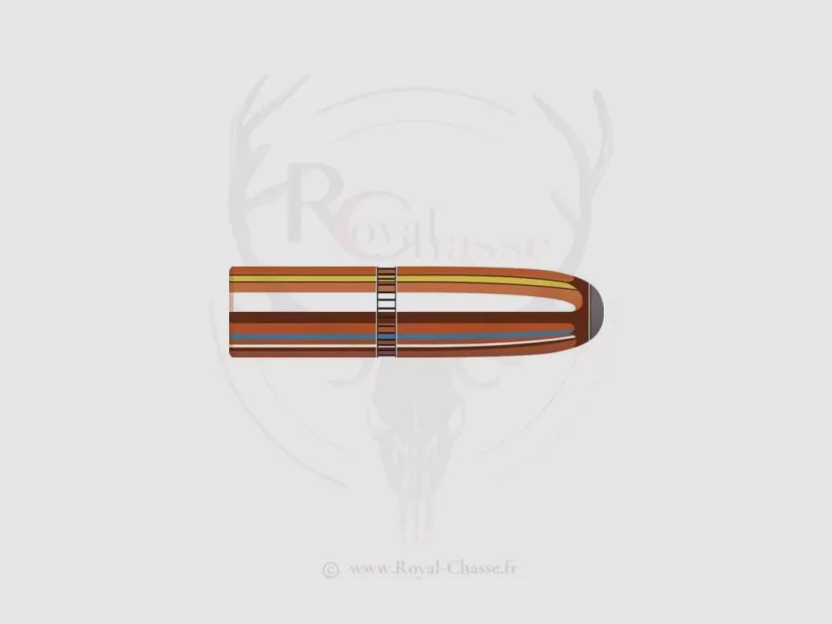 100 ogives Cal.30 D.308 220Grs INTERLOCK RN HORNADY