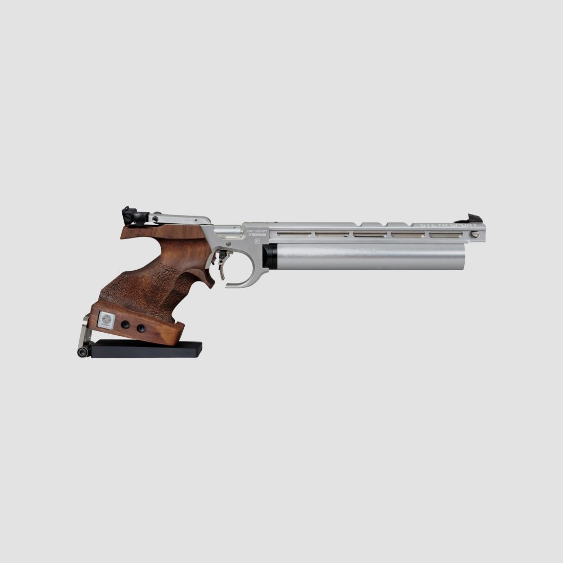 Steyr EVO 10 Supporto, immagine 1 di 3
