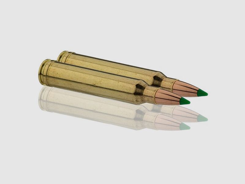 Balles de Chasse Sologne Klassic Calibre 300 Win Nosler Ballistic Tip, image 9 sur 10