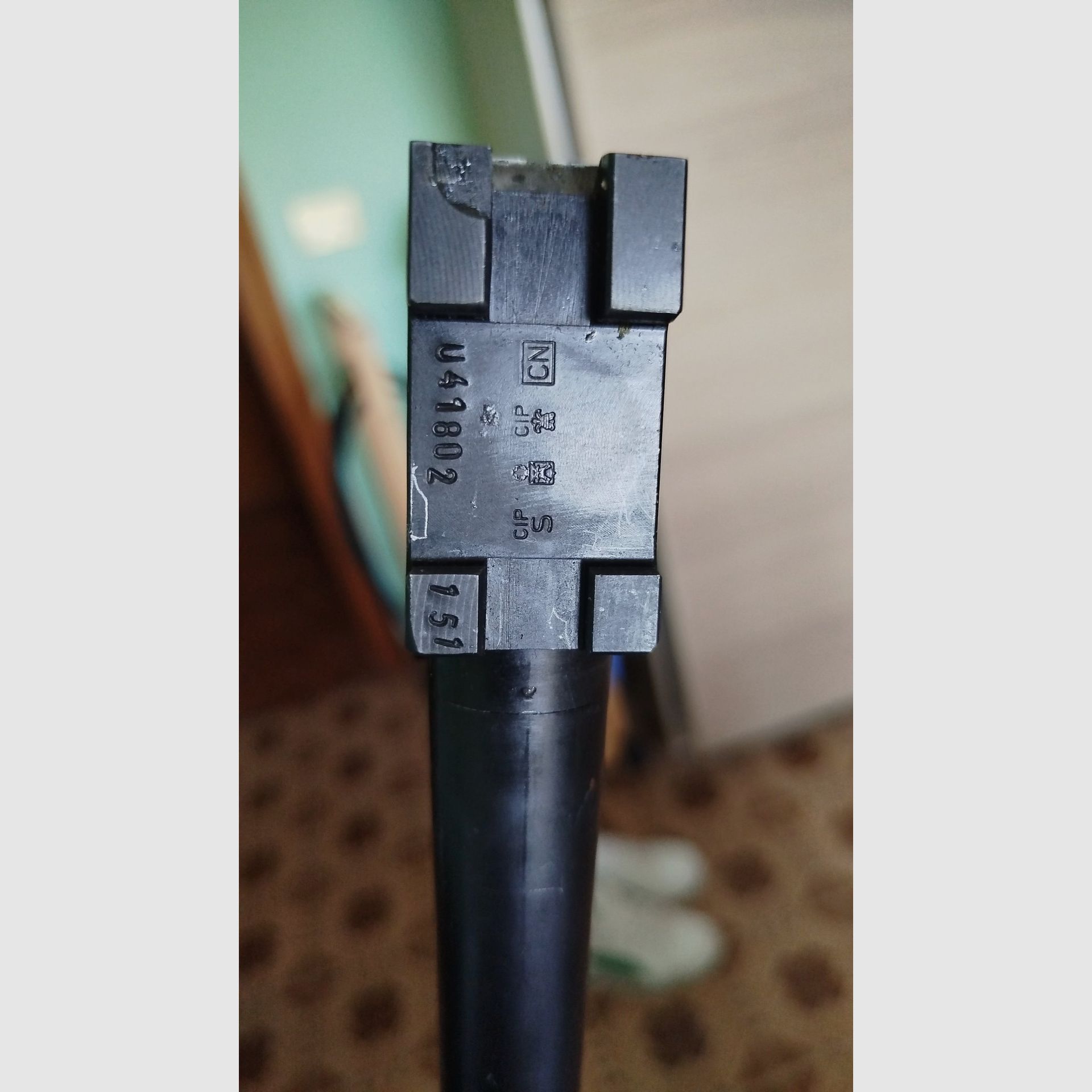 Sovrapposto Yldyz Cal 20