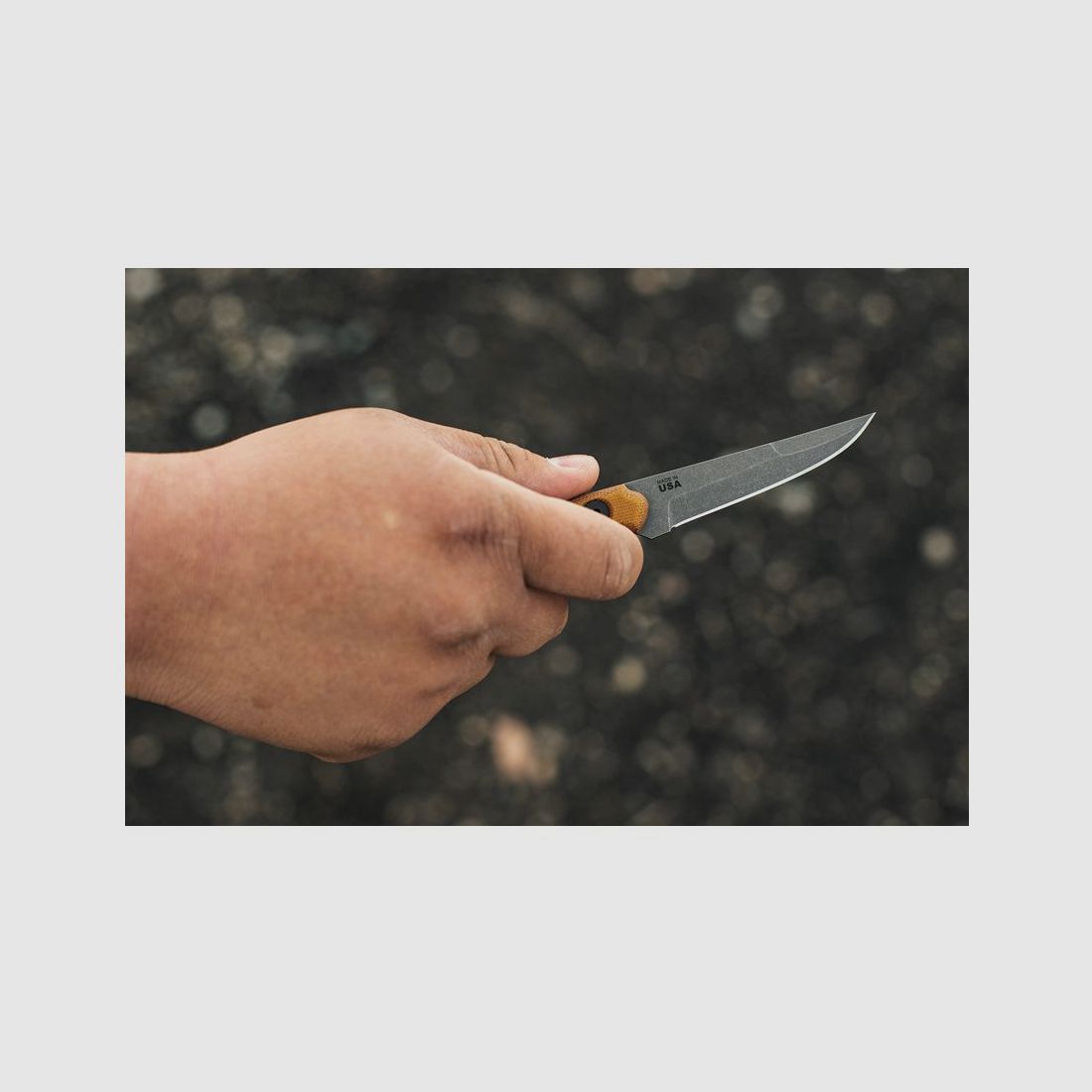 El Pionero | 96197