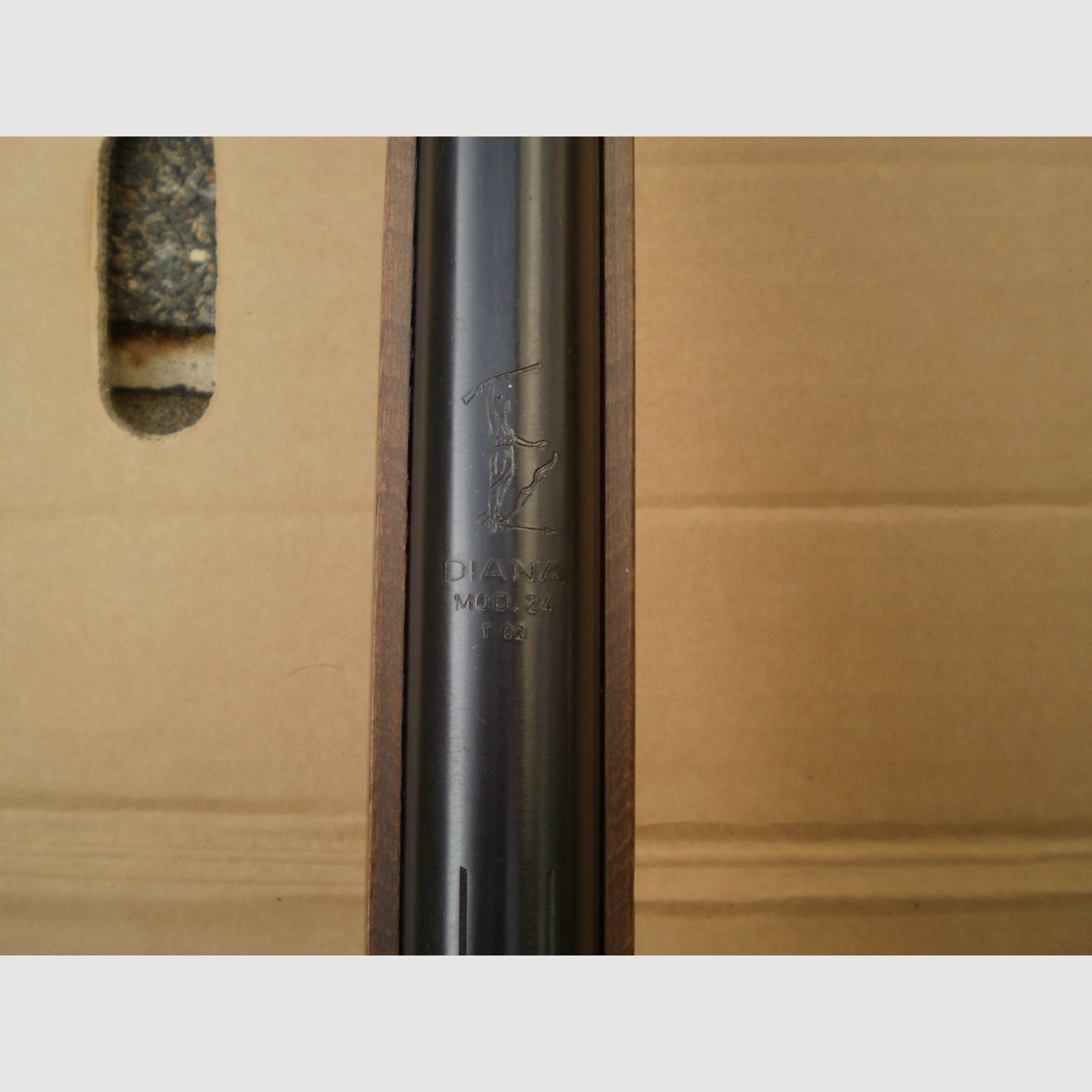 Diana 24 T02 avec F
