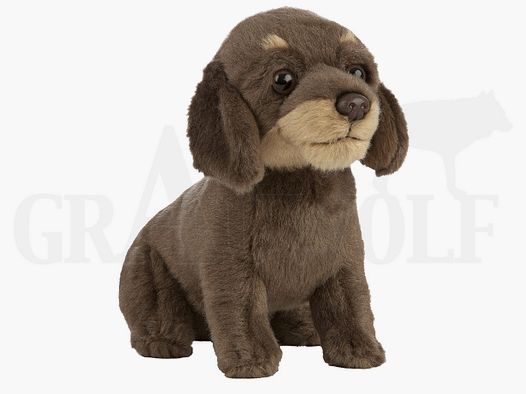 Plush Toy Wirehaired Dachshund Puppy