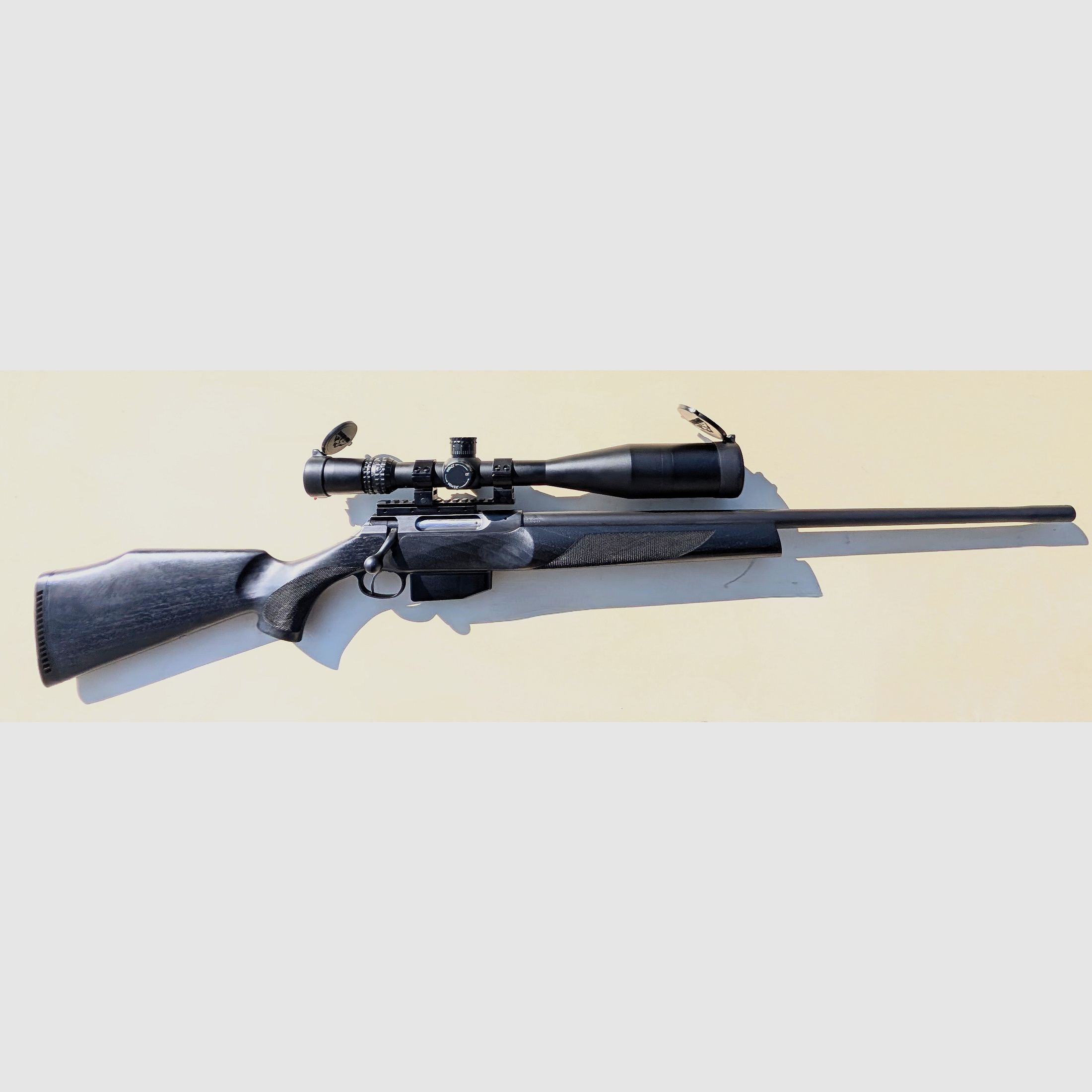 Sauer 202 