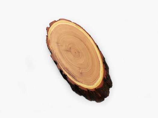 Bouclier en acacia pour cerf / sika 18 x 35 cm