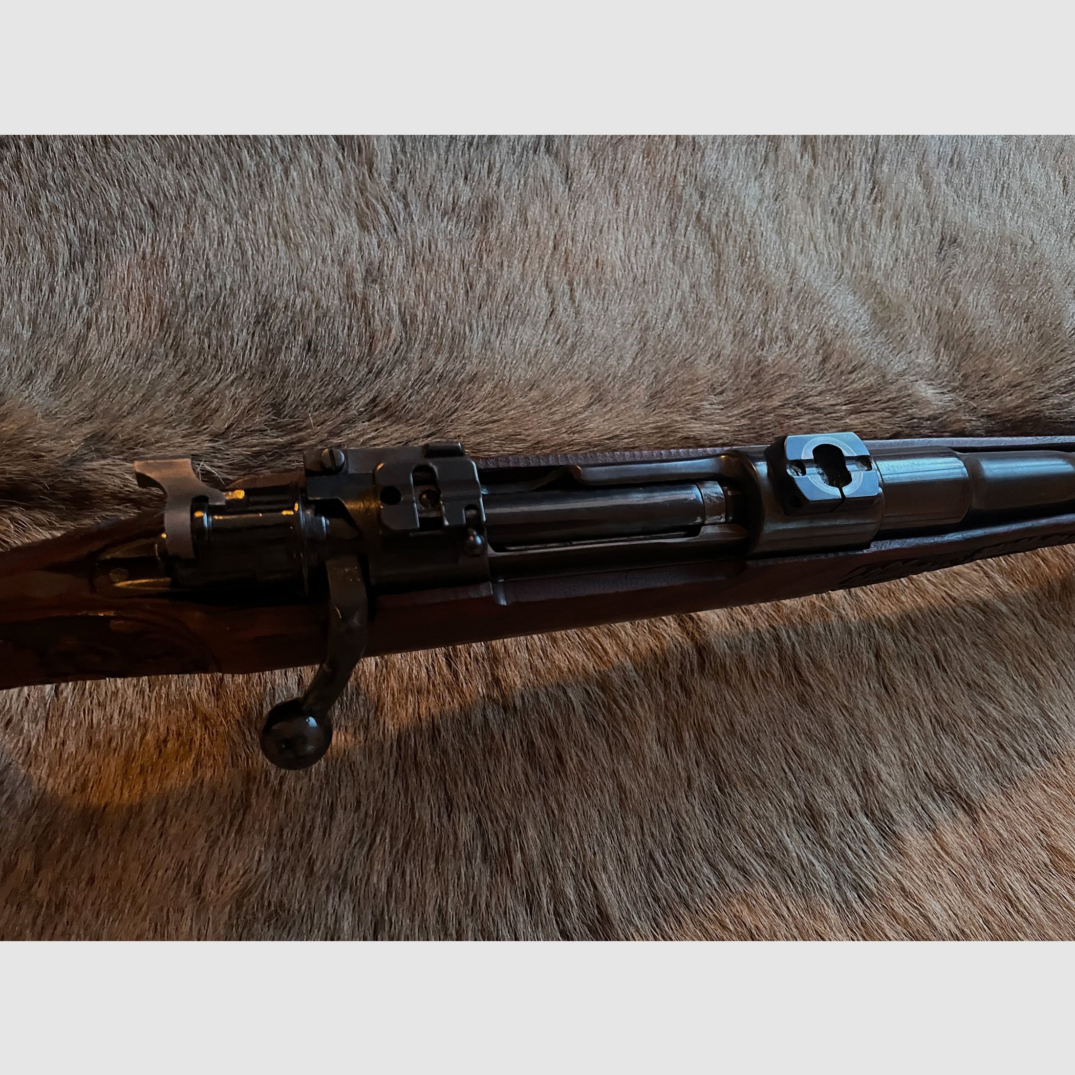 Mauser 98 en .308 découpes de crosse