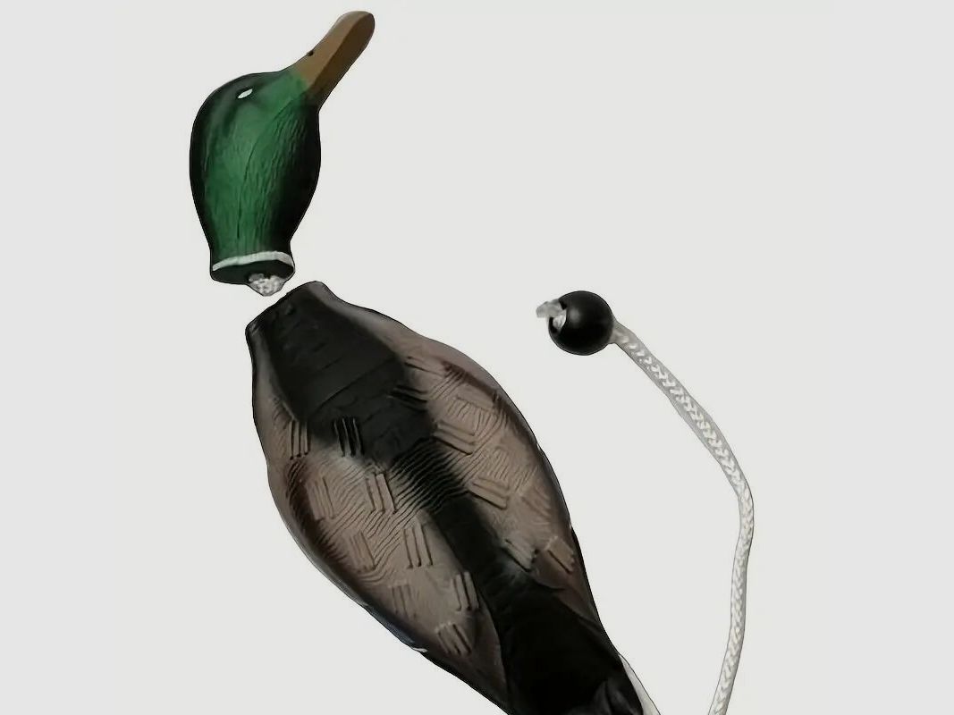 hs-arms dog retrieving dummy stock duck