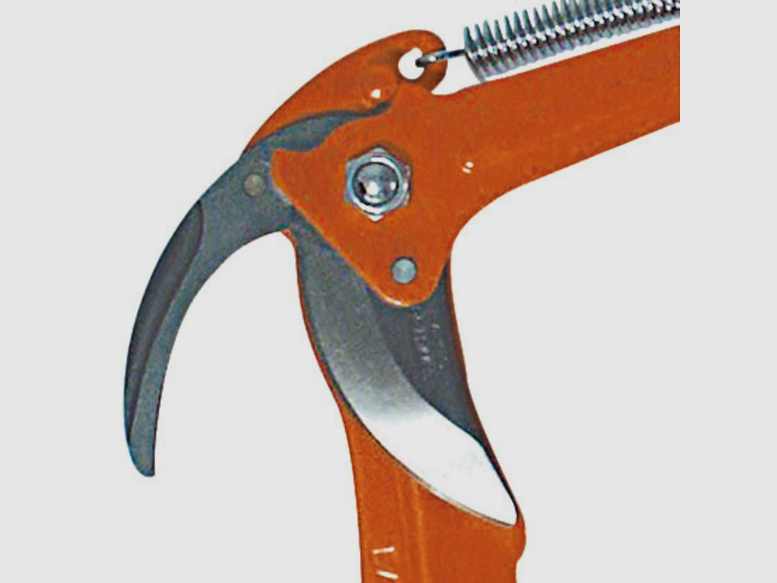 Cuchilla de repuesto para tijeras de oruga Pradines L