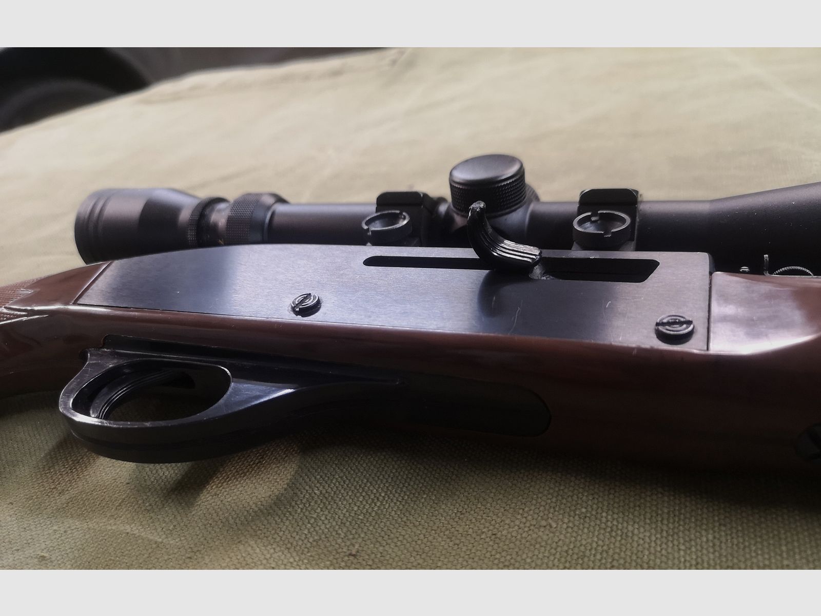 Remington  NYLON 66  Selbstlader  .22lr