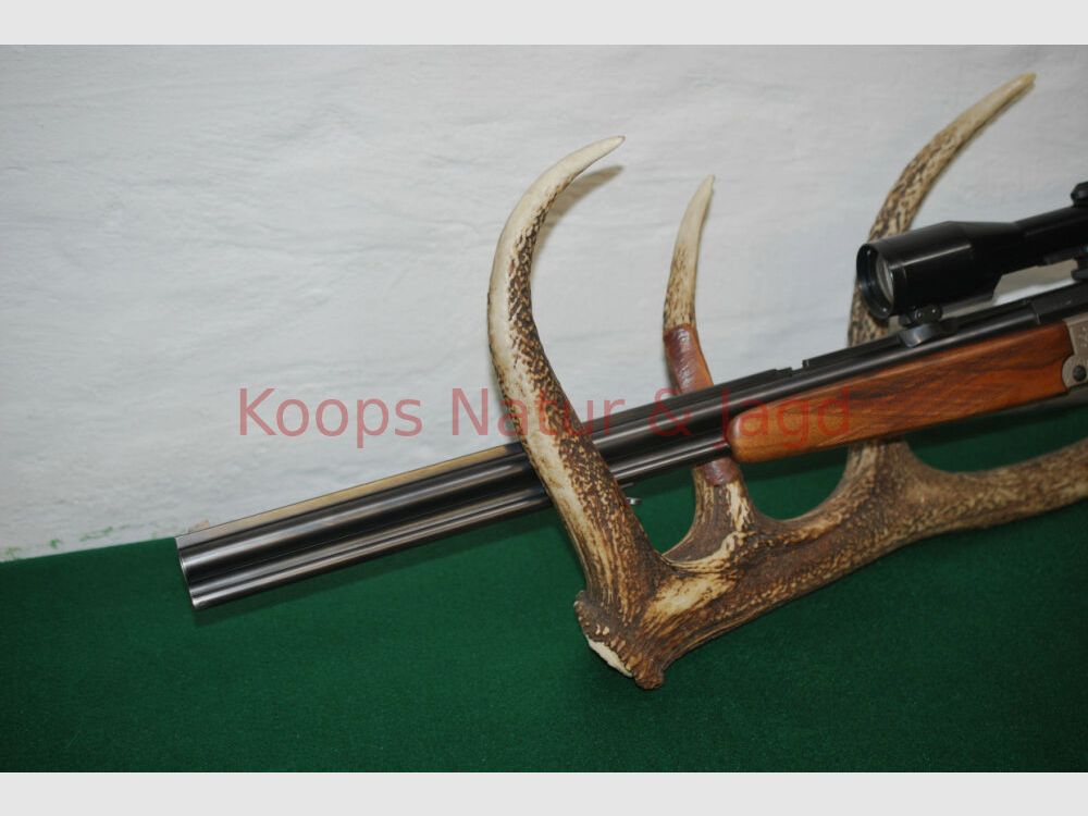 Blaser ES 63