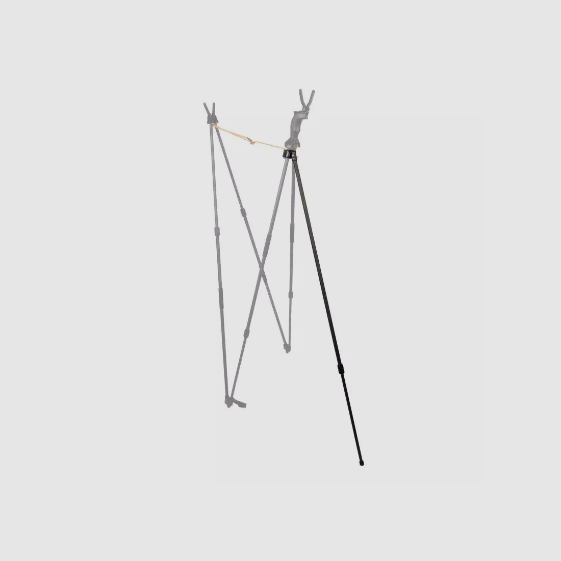 Blaser Carbon Stick