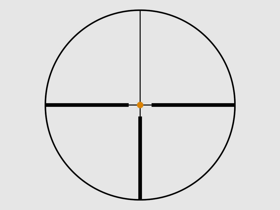 Swarovski Z6i 1-6x24 mit Schiene 