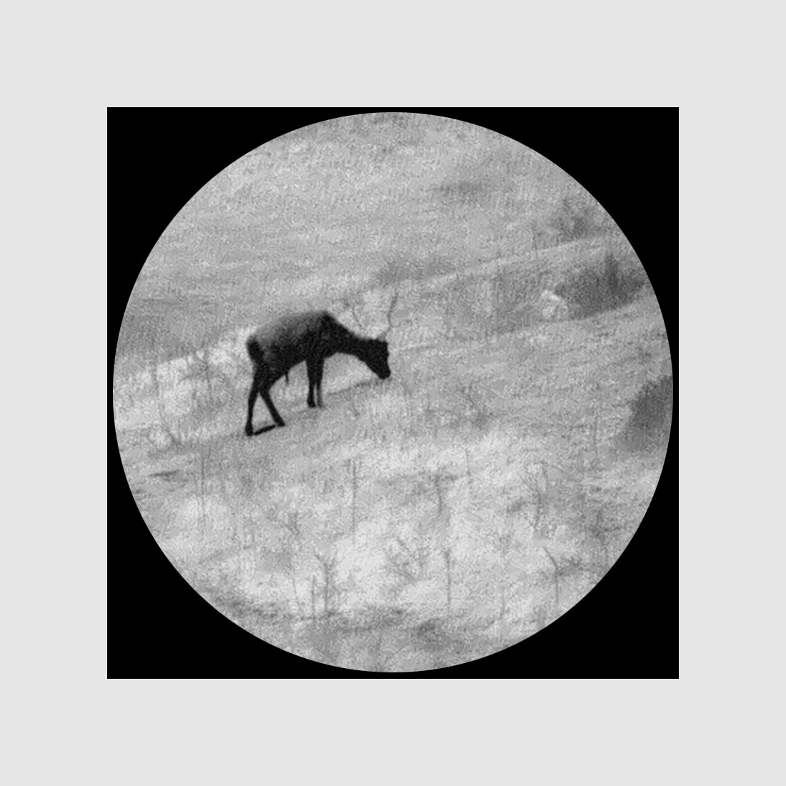 Lahoux Hemera Standard Nachtsichtgerät