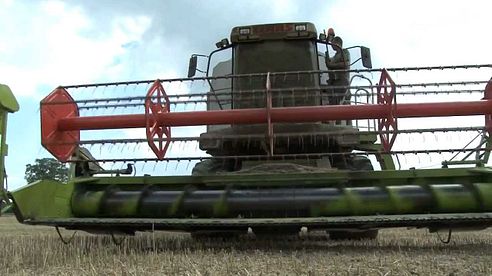 Shooting rabbits from a combine harvester