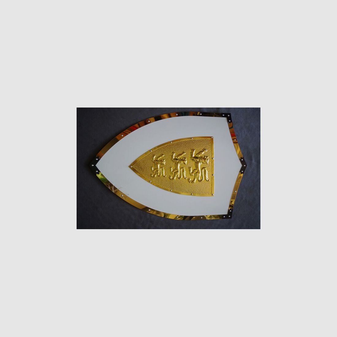 Löwen Ritter Schild mit Metall Beschlägen LARP, Festivals Einzelstück