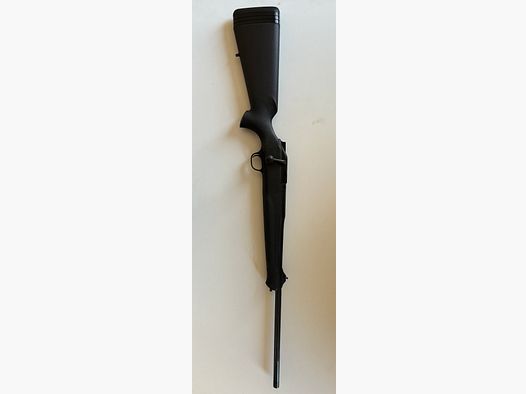 Blaser R8 Professional 6,5x55