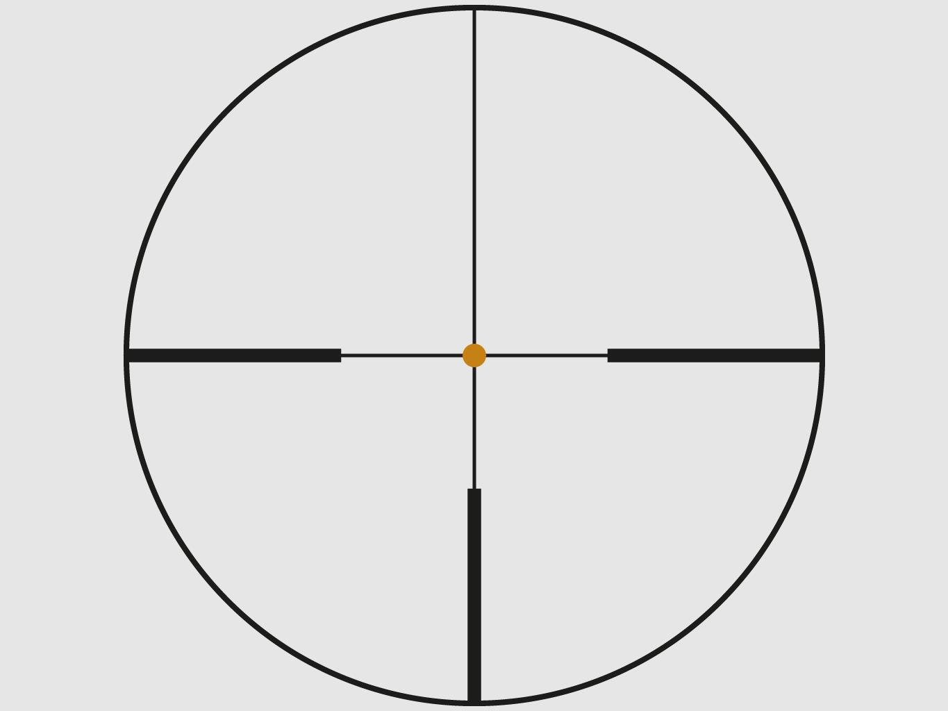 Swarovski Z6i 1-6x24 Zielfernrohr