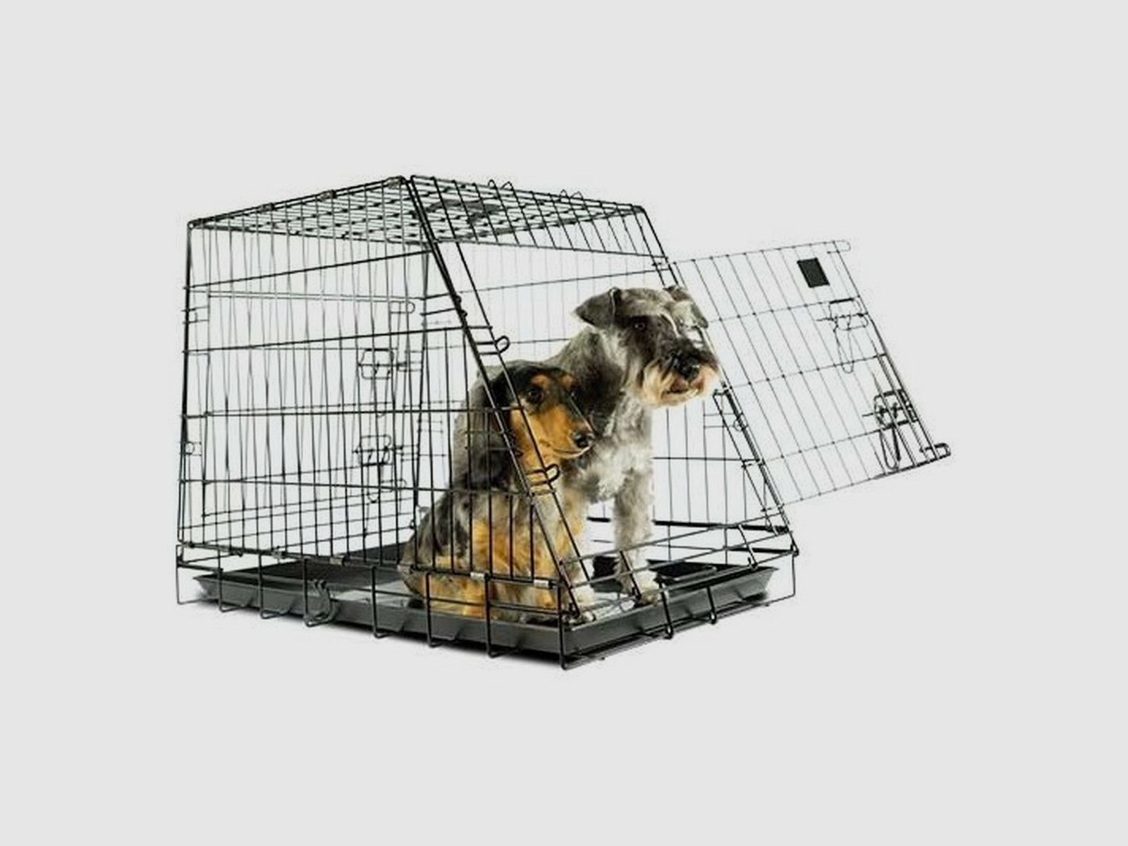 Klappbare Transportbox für Auto ARCEA, Bild 10 von 16