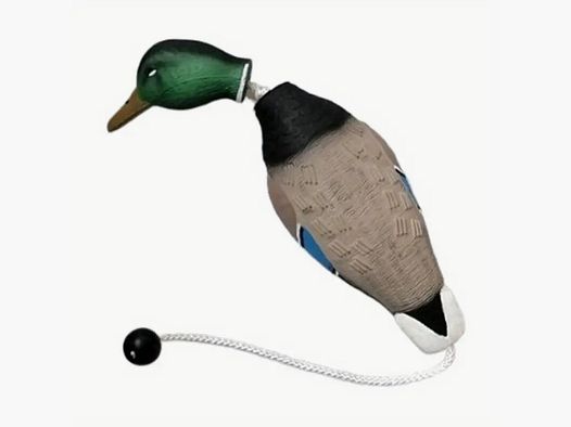 hs-arms dog retrieving dummy stock duck