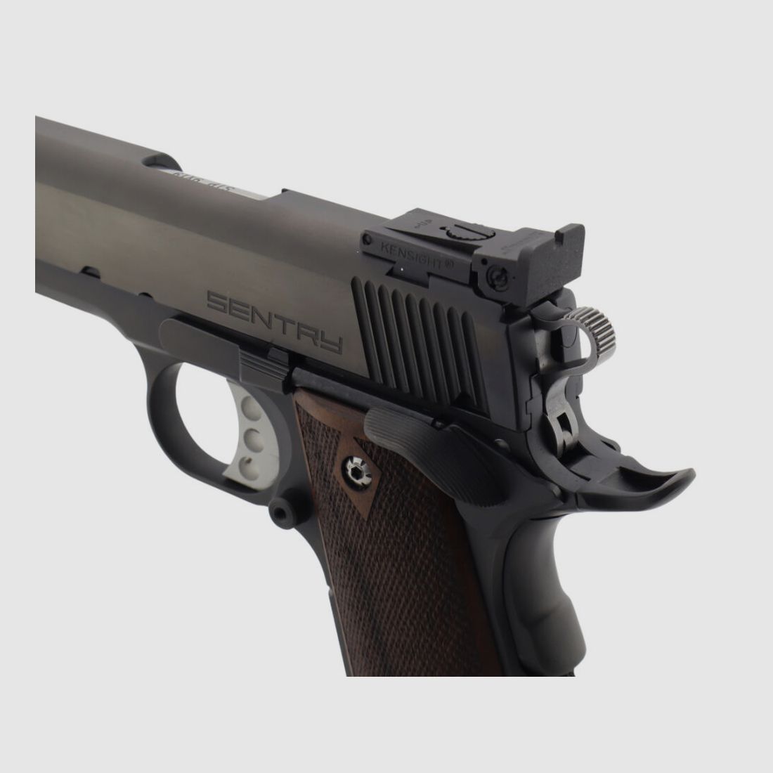 STP Sentry 6.0