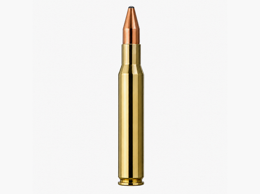 RWS Kegelspitze 165gr Kaliber .30-06 SPRG