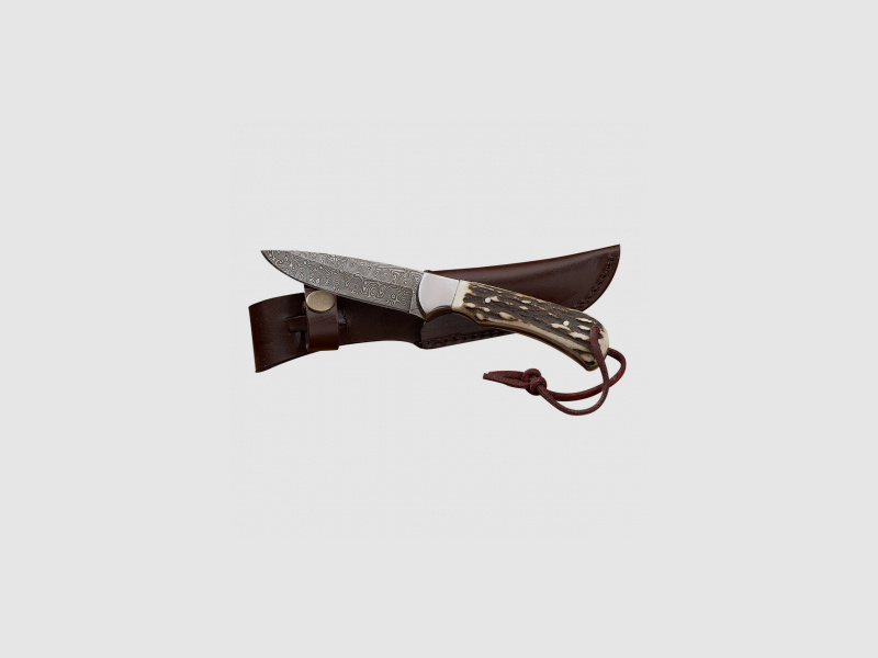Couteau de ceinture Whitefox Rosendamast |