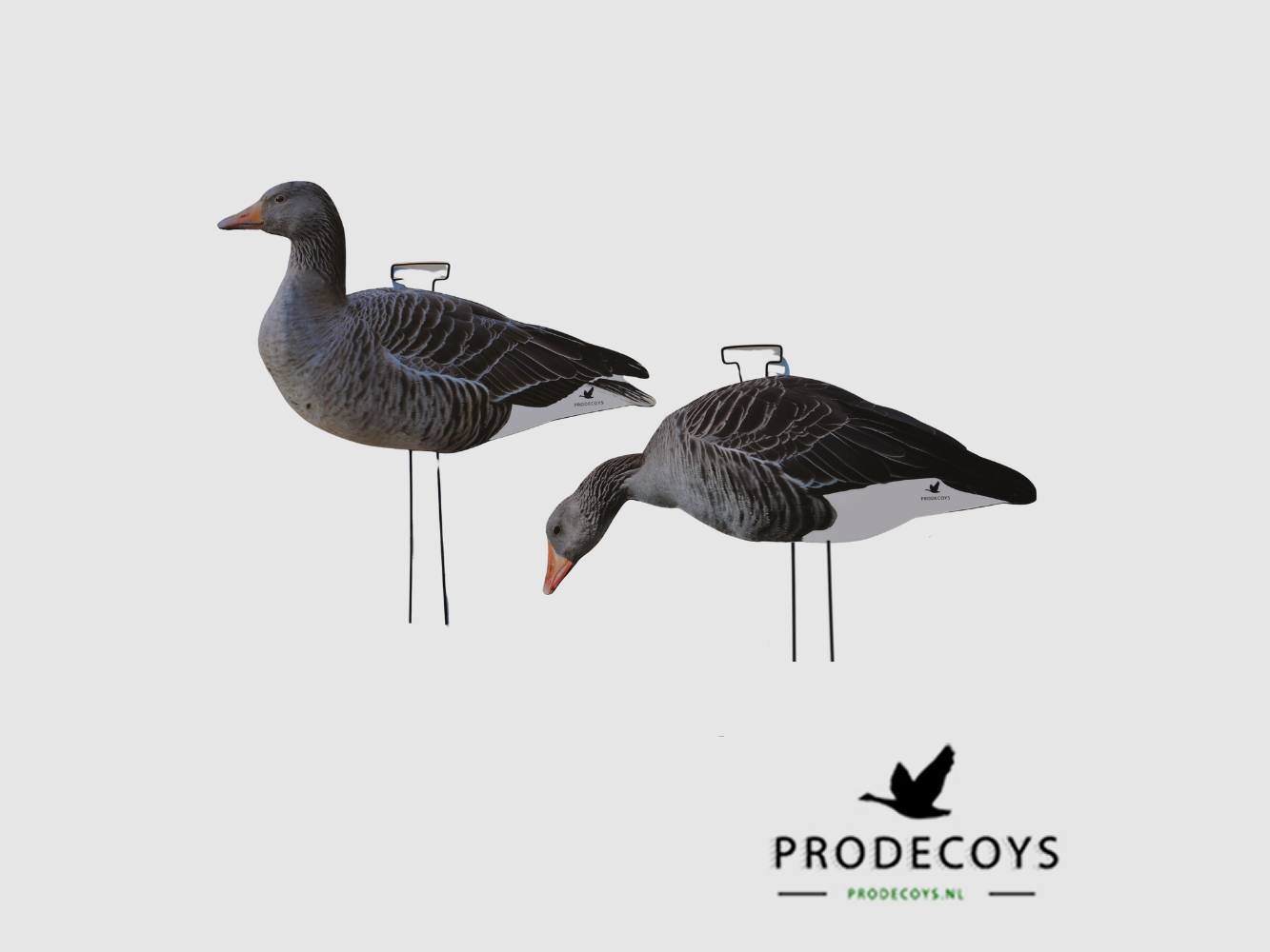 ProDecoys Grauwe Gans Silhouette Lokkers (set van 12 stuks), afbeelding 1 van 5