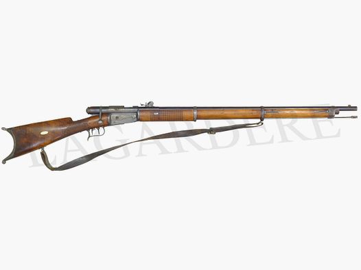 ERLACH VETTERLI 1869 PRIVAT