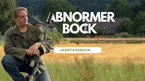 Abnormer Bock - Jagd in der Heide - Jägerbiwak