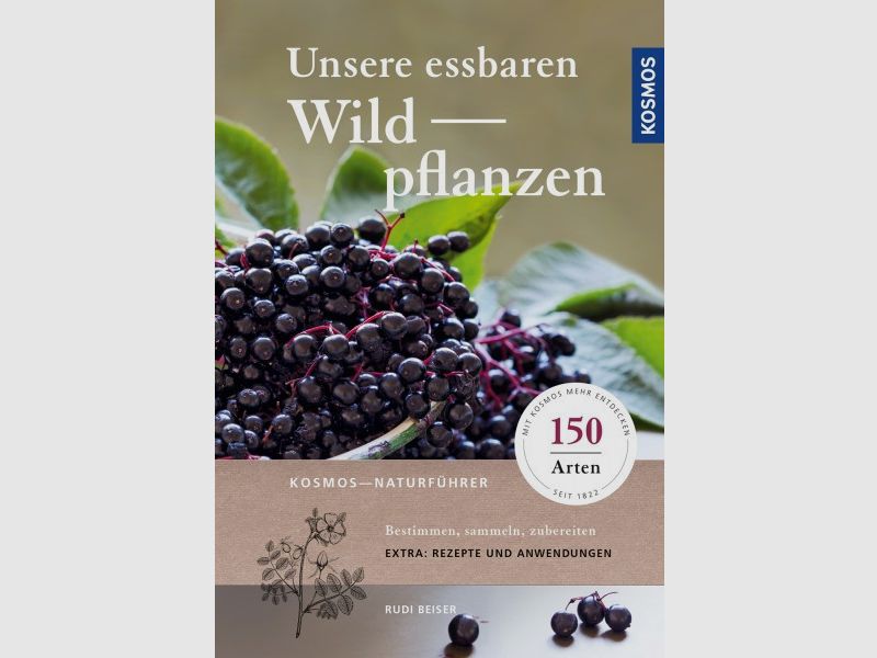 UNSERE ESSBAREN WILDPFLANZEN - 150 ARTEN