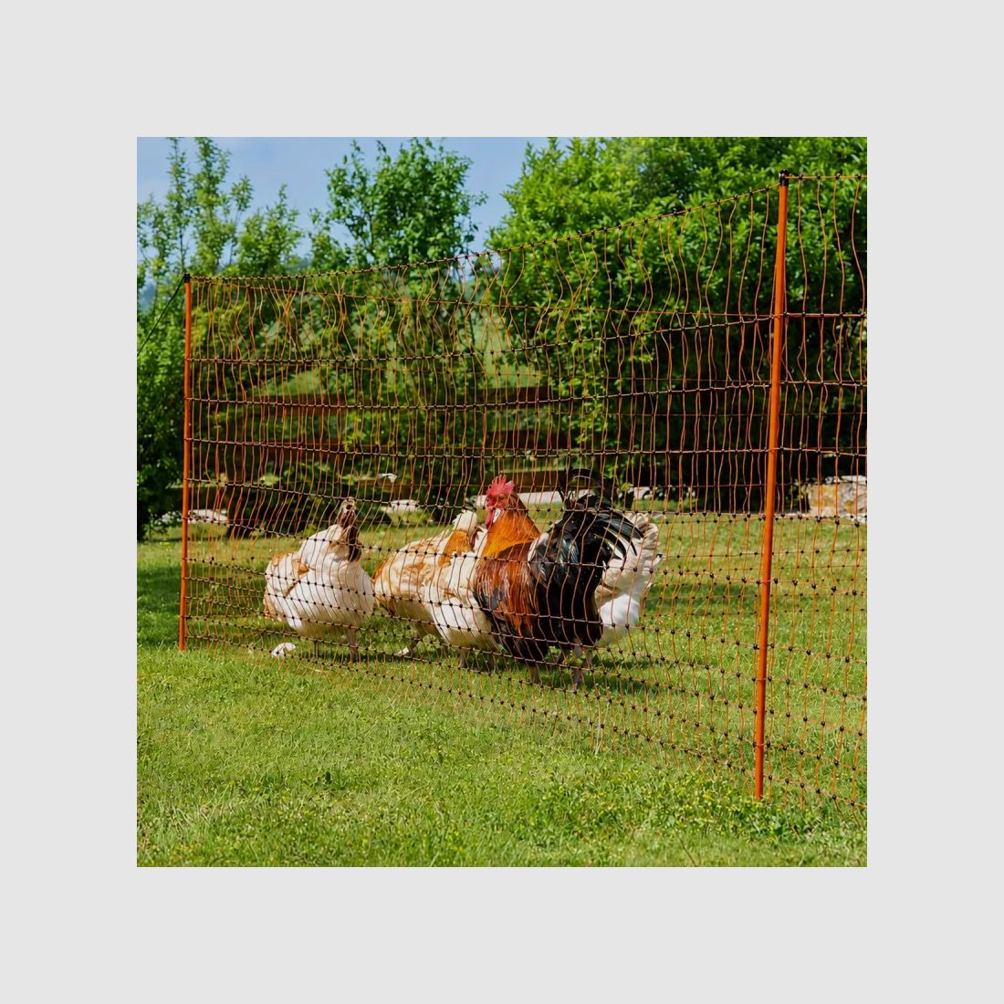 Elektrischer Geflügelfilet 106 cm Länge 50 m, Bild 8 von 11